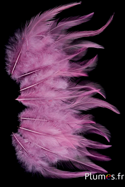 Coq - 8-12 cm - rose ancien